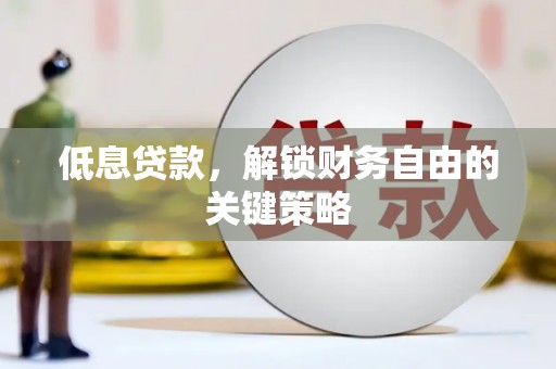 昭苏低息贷款，解锁财务自由的关键策略