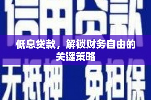昭苏低息贷款，解锁财务自由的关键策略