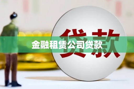 昭苏金融租赁公司贷款