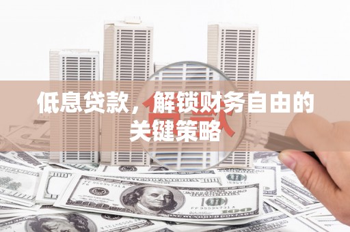 昭苏低息贷款，解锁财务自由的关键策略