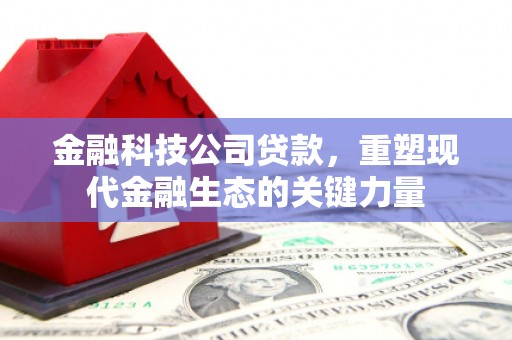 昭苏金融科技公司贷款，重塑现代金融生态的关键力量