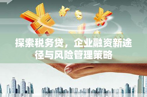 昭苏探索税务贷，企业融资新途径与风险管理策略