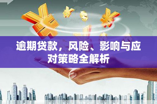 昭苏逾期贷款，风险、影响与应对策略全解析