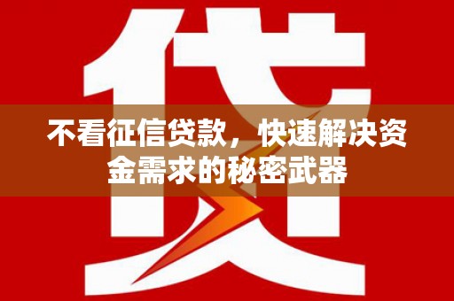 昭苏不看征信贷款，快速解决资金需求的秘密武器