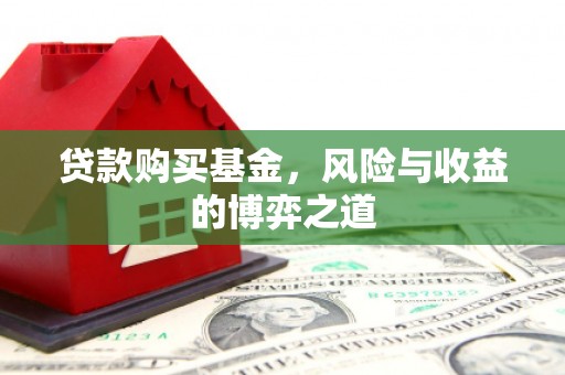 昭苏贷款购买基金，风险与收益的博弈之道