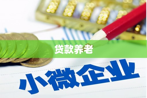昭苏贷款养老