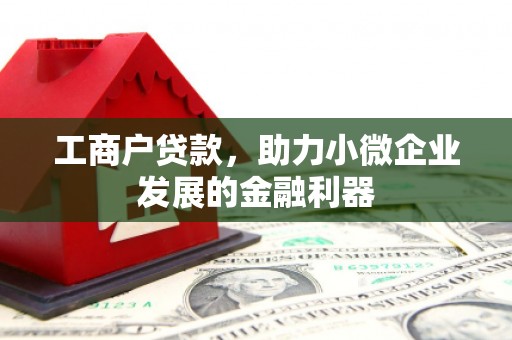 昭苏工商户贷款，助力小微企业发展的金融利器