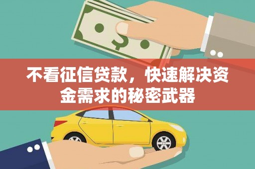 昭苏不看征信贷款，快速解决资金需求的秘密武器
