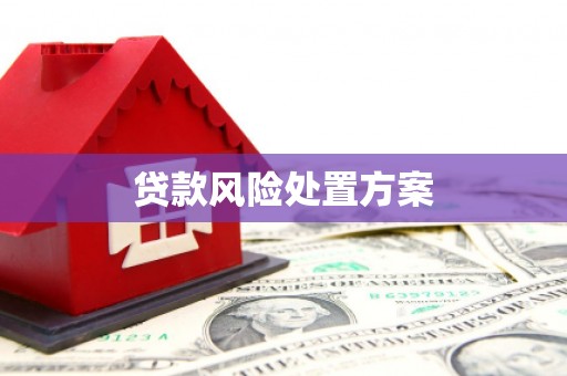 昭苏贷款风险处置方案
