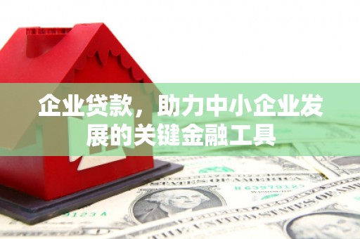 昭苏企业贷款，助力中小企业发展的关键金融工具