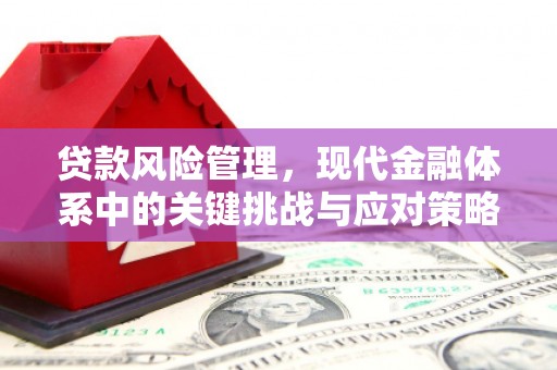 昭苏贷款风险管理，现代金融体系中的关键挑战与应对策略