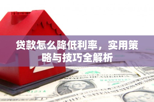 昭苏贷款怎么降低利率，实用策略与技巧全解析