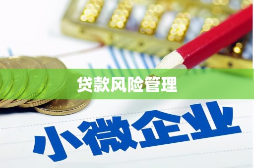 昭苏贷款风险管理