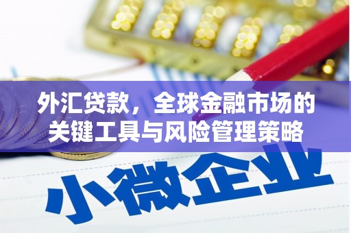 昭苏外汇贷款，全球金融市场的关键工具与风险管理策略