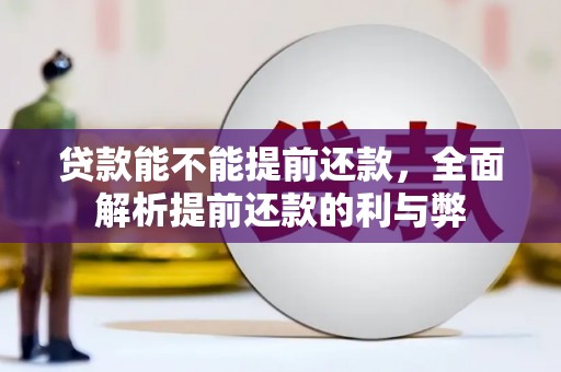 昭苏贷款能不能提前还款，全面解析提前还款的利与弊