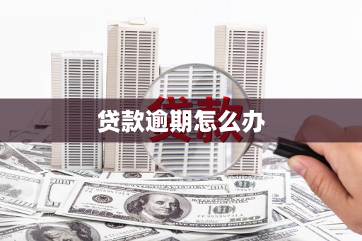 昭苏贷款逾期怎么办