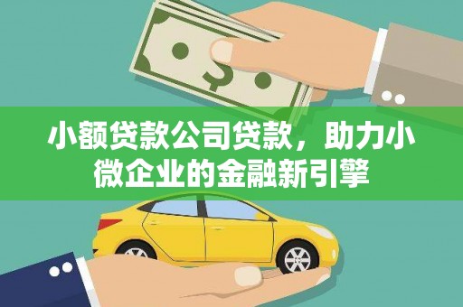 昭苏小额贷款公司贷款，助力小微企业的金融新引擎