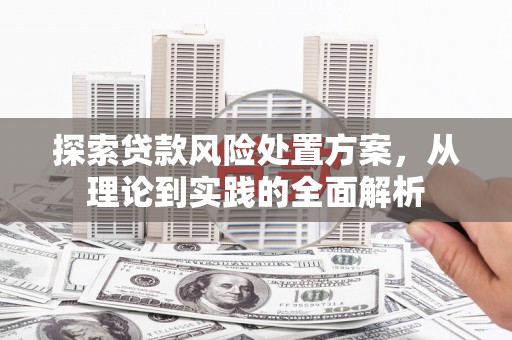 昭苏探索贷款风险处置方案，从理论到实践的全面解析
