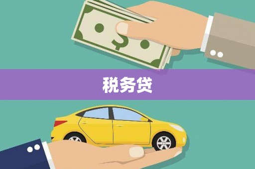 昭苏税务贷