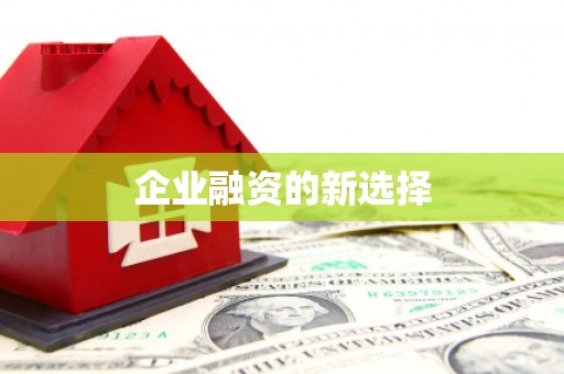 昭苏企业融资的新选择
