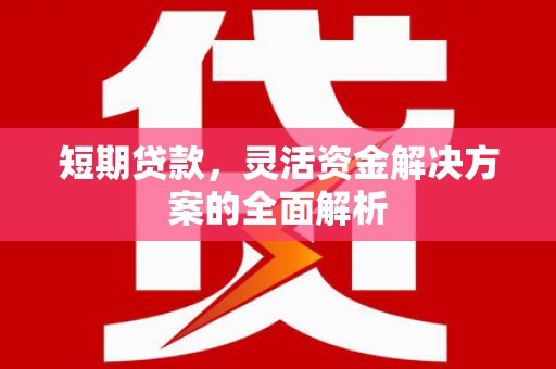 昭苏短期贷款，灵活资金解决方案的全面解析