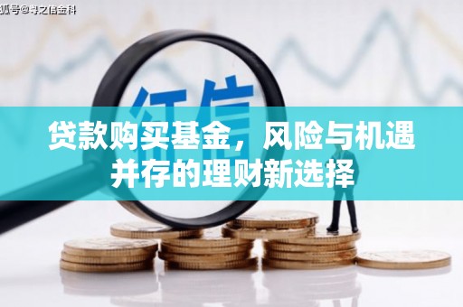昭苏贷款购买基金，风险与机遇并存的理财新选择