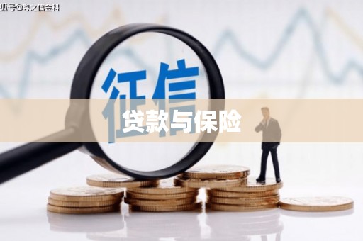 昭苏贷款与保险
