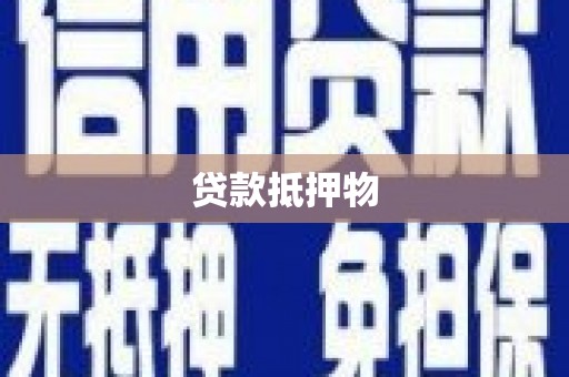 昭苏贷款抵押物
