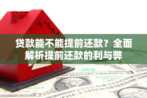 昭苏贷款能不能提前还款？全面解析提前还款的利与弊