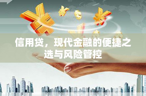 昭苏信用贷，现代金融的便捷之选与风险管控