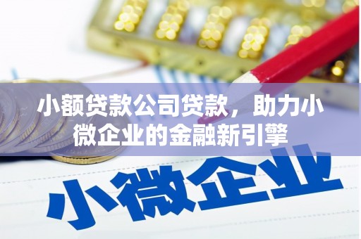 昭苏小额贷款公司贷款，助力小微企业的金融新引擎
