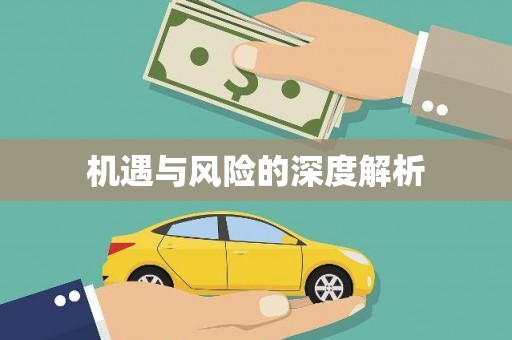 昭苏机遇与风险的深度解析