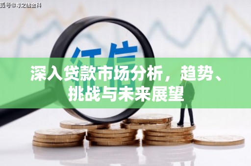 昭苏深入贷款市场分析，趋势、挑战与未来展望