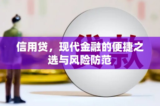 昭苏信用贷，现代金融的便捷之选与风险防范