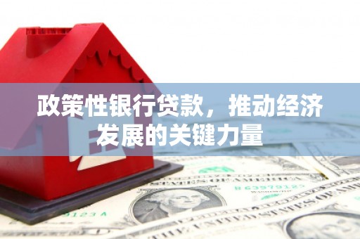 昭苏政策性银行贷款，推动经济发展的关键力量