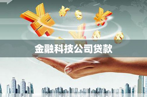 昭苏金融科技公司贷款