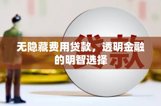 昭苏无隐藏费用贷款，透明金融的明智选择