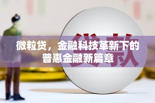 昭苏微粒贷，金融科技革新下的普惠金融新篇章