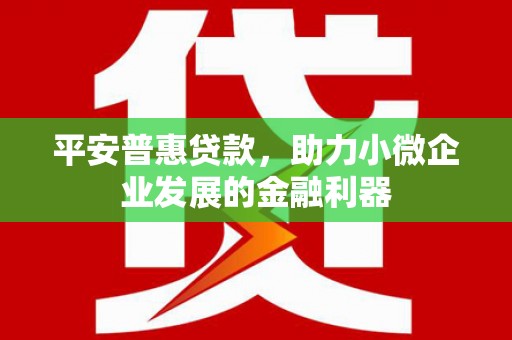 昭苏平安普惠贷款，助力小微企业发展的金融利器