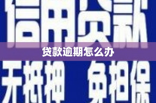 昭苏贷款逾期怎么办