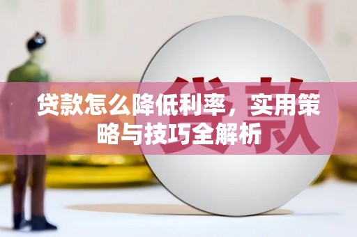 昭苏贷款怎么降低利率，实用策略与技巧全解析