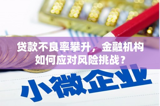 昭苏贷款不良率攀升，金融机构如何应对风险挑战？
