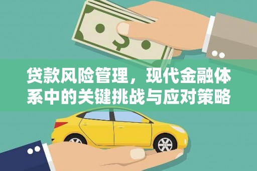 昭苏贷款风险管理，现代金融体系中的关键挑战与应对策略