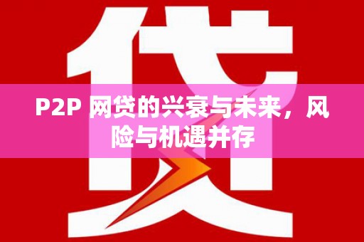 昭苏P2P 网贷的兴衰与未来，风险与机遇并存