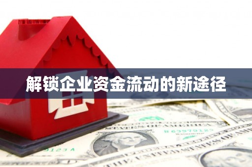 昭苏解锁企业资金流动的新途径
