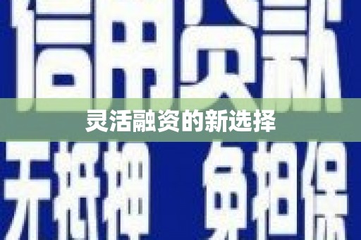 昭苏灵活融资的新选择