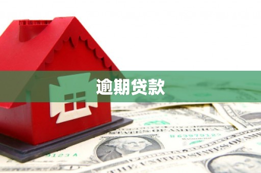 昭苏逾期贷款
