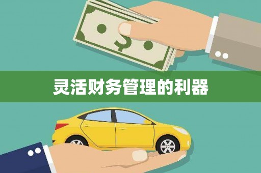 昭苏灵活财务管理的利器