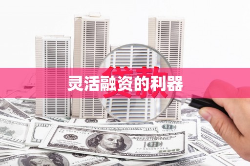 昭苏灵活融资的利器