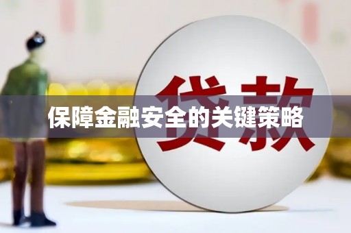 昭苏保障金融安全的关键策略